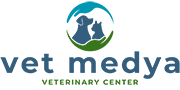 VET Medya